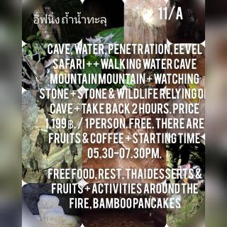 มาร์ติน ออแกนิคฟาร์ม &แค้มป์ - 4