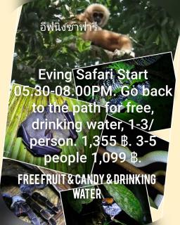 มาร์ติน ออแกนิคฟาร์ม &แค้มป์ - 3