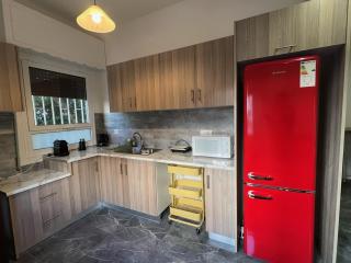 Princeps De Cura Suite - 2