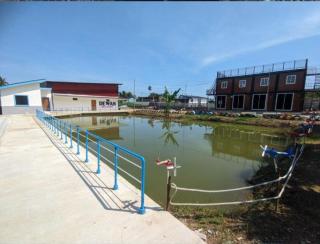 Capital O 91243 Bee Good Chalet - 5