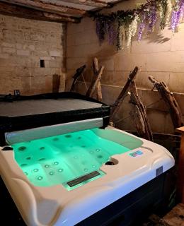 Gîte insolite dans un moulin à eau avec spa privatif - 8