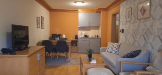 Apartman 107 - Aparthotel Vučko Jahorina - Ski & relax - private host - 1