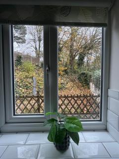 Alpine Stays - Entire home Newly refurbished - 4