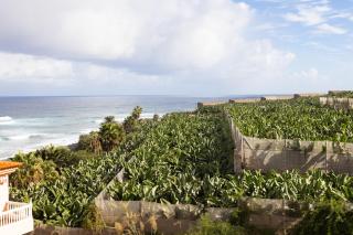 TenoHomes Casa Ela, Charming Stay Garachico - 6