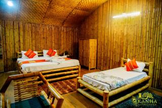 Kanha Nature's Knock - 4