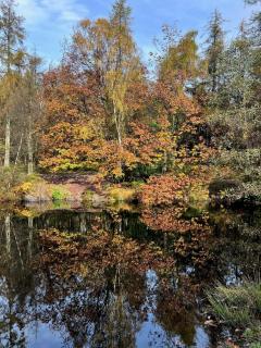 Rock Cottage - Log burners and jacuzzi bath - 2