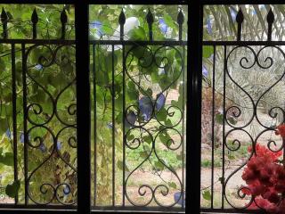 استراحة الباشا albash farm stay - 9