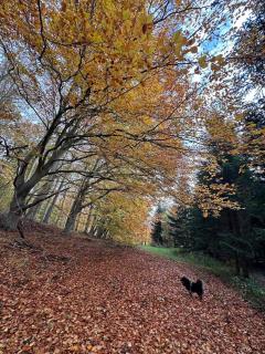 Small Oasis Near Coast And Town - 3