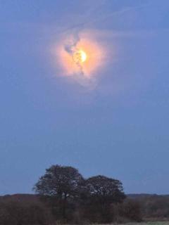 Small Oasis Near Coast And Town - 2