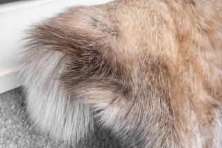 Arctic City Nook - Sauna and Parking - 1