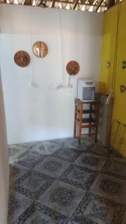 Casa andorinhas - 6