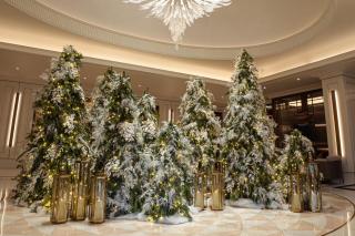 Jumeirah Carlton Tower London - 5