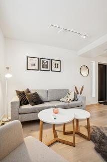 Observation Aurora - 7