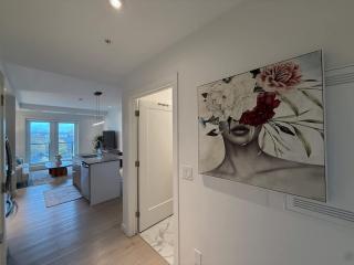 Bright warm & cozy 1 BR in North End Halifax - 6