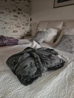 Studio Apartment Đuli Rabac with private hot tub and free parking - 9