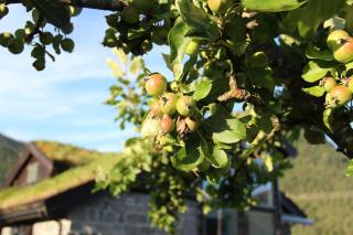 Idyllic house with views - close to nature - 3