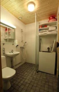 cottage studio with sauna and Mezzanine - 2