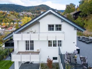 Waldklang Refugium Schwarzwald - eingezäunt - Sauna geplant - Tischkicker - Billard - 1