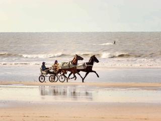 Hotel Ibis Budget Deauville - 3