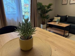 Millenium Apartments City Center - 3