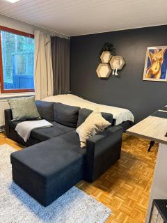 Compact beautiful apartment with sauna - 8