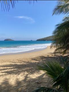 Superbe appartement très lumineux avec terrasse 2 chambres, proche des plages ! - 3