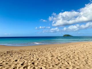 Superbe appartement très lumineux avec terrasse 2 chambres, proche des plages ! - 8