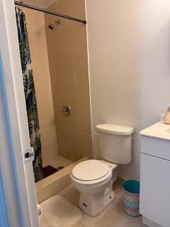 My Garden in Miami Florida - 1