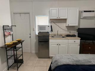 My Garden in Miami Florida - 2