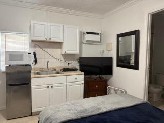 My Garden in Miami Florida - 2