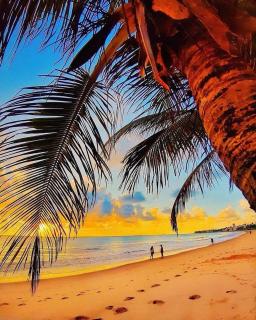 Paradise Beach Flat 211 - 3