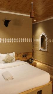 Zannat Riverfront Retreat - Tirthan Valley - 2