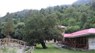 Zannat Riverfront Retreat - Tirthan Valley - 1