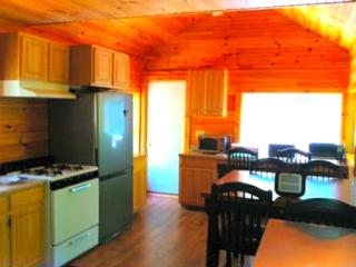 Rustic and Cozy Cabin Rental near Cherry Springs State Park, Pennsylvania - 9