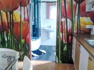 Apartment Jiřetínská chaloupka by Interhome - 6