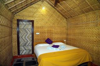 Shanthi Dhama Resort, Hampi - 1