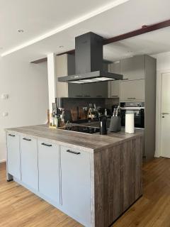 Pfalzperle - historic luxury duplex apartment - 9