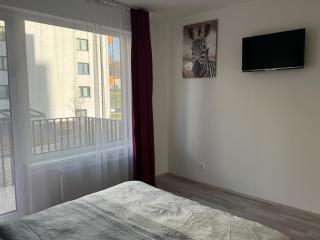 Spacious 2BR with balcony in Prague - Comfort & Style - 6