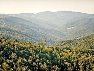 Apartment Il Frassino del Borgo di Ghiora by Interhome - 1