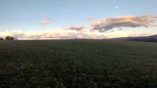 Exquisite Sunny Cabin Rental with a Hot Tub in Front Royal, Virginia - 8