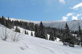 Feriendorf Koralpe Chalet Alpenglück - 8
