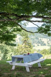 Peaceful Tiny House in the Mountains near Seneca Rocks, West Virginia - 4
