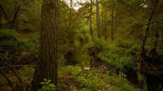 Gorgeous Glamping Yurt for a Unique Romantic Getaway near Austin - 6