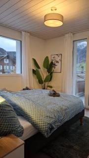 Mountain view with balcony and free parking - 6