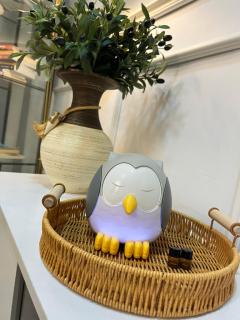 Rumah Rumi Homestay - 3