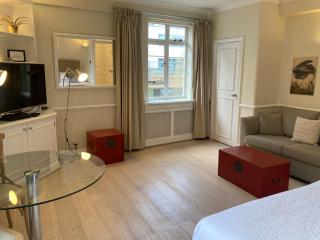 NELL GWYNN HOUSE - Elegant Large Studio Apartment, Sloane Square - 1
