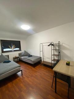 Komfortables Einraum-Apartment in Weißenthurm - 3