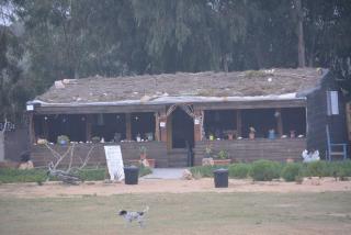 camping la dune de mrizika - 1