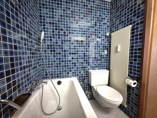 Lärchenwald 1904 - Neu renoviert, neben Skigebiet - 9