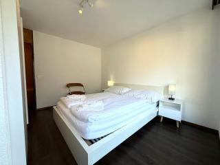 Lärchenwald 1904 - Neu renoviert, neben Skigebiet - 7